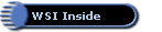 WSI Inside